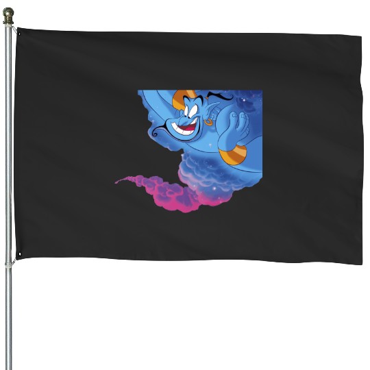 Aladdin Disneys House Flags