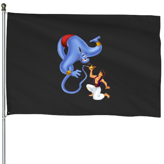 Aladdin Disneys House Flags