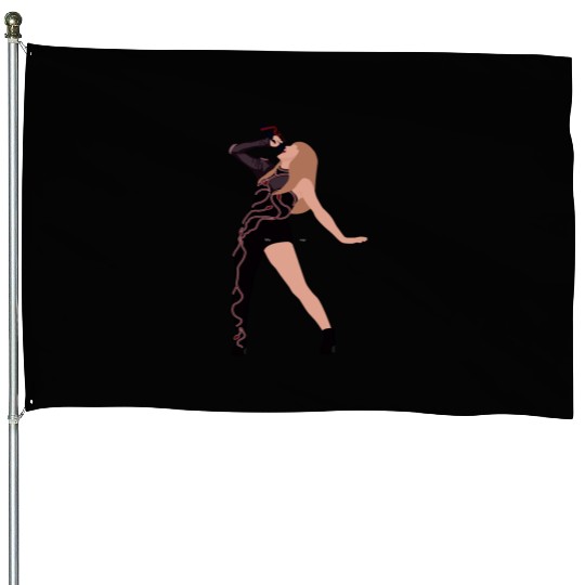 Eras Tour Reputation House Flags