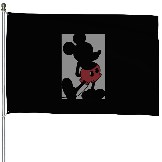 Disney Mickey Mouse Box Silhouette House Flags