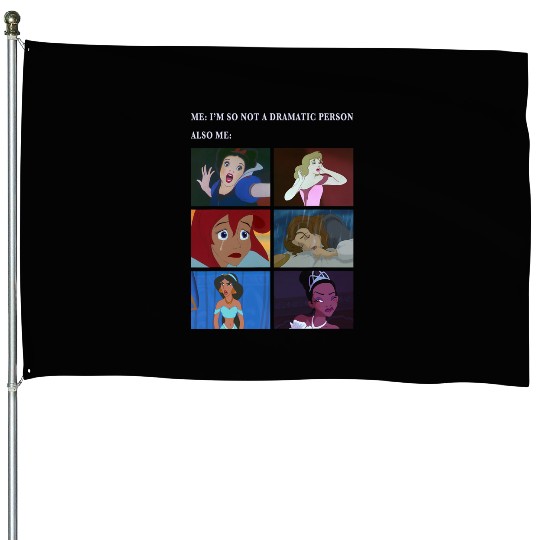 Disney Princess Not Dramatic Meme Panel House Flags