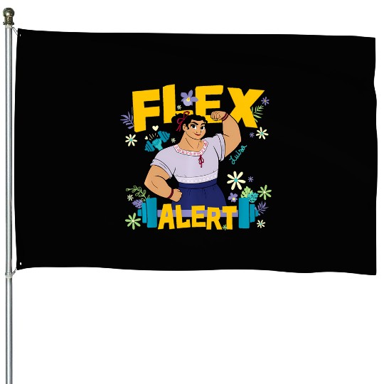 Disney Encanto Luisa Flex Alert House Flags
