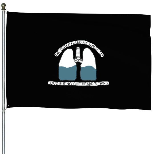 Tayl0r Swift Clean House Flags