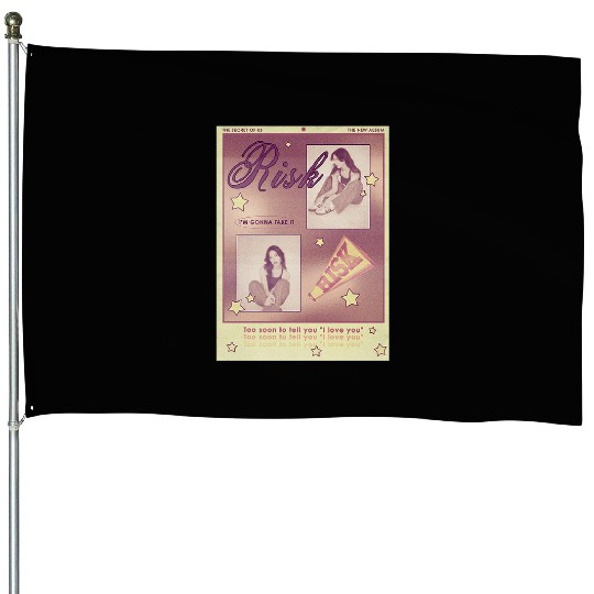 Eras Tour House Flags
