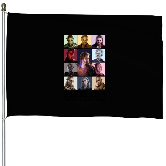 Baldurs Gate 3 - Eras Tour - Wizard Companion House Flags