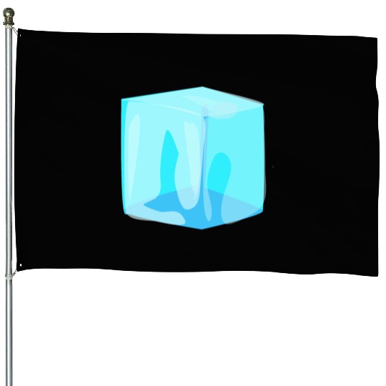 Ice Cube House Flags