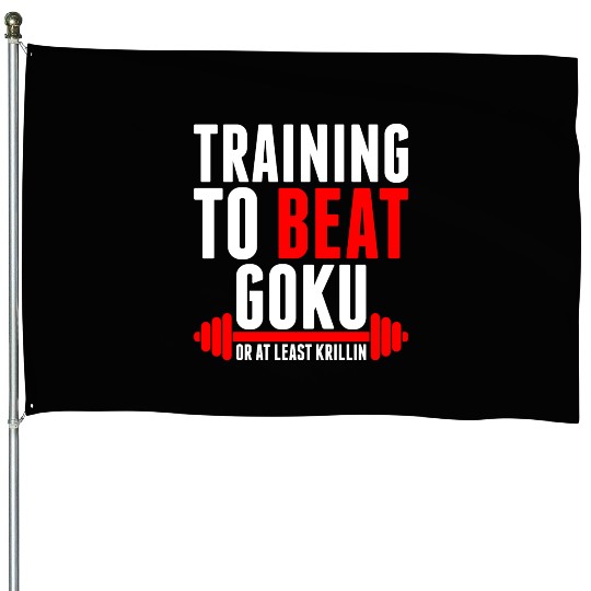 Training To Beat Goku House Flags