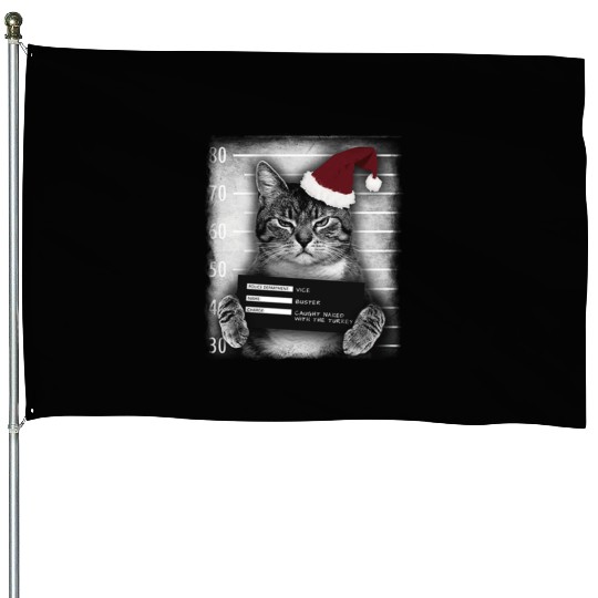 Cat Christmas Thief House Flags