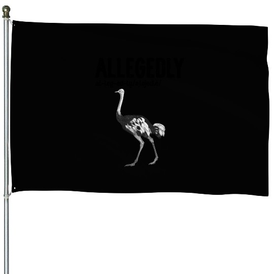 Letterkenny Allegedly English Teacher Gift House Flags