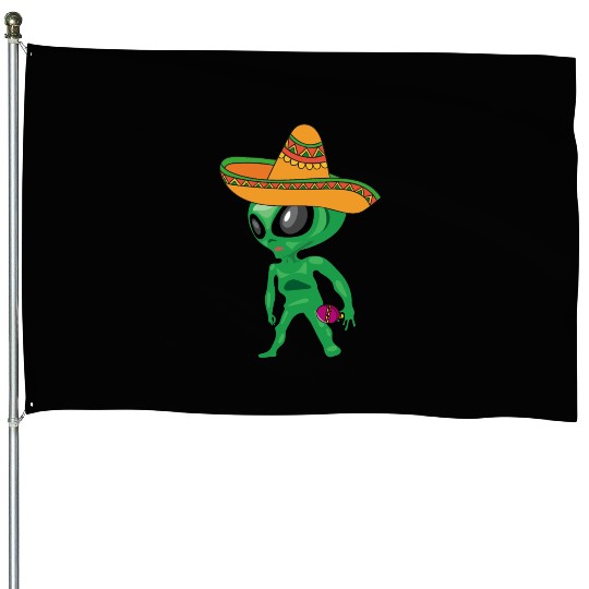 VIVA MEXICO QUE PASA CINCO DE MAYO GREEN ALIEN FUN House Flags