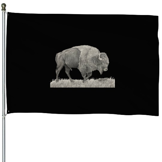 Buffalo Drawing House Flags