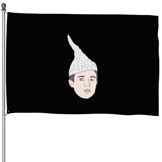 Conspiracy Theorist - Tin-Foil Hat Kid - Hoax House Flags