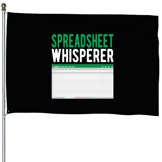 Spreadsheet Whisperer Excel Accounting Accountant House Flags