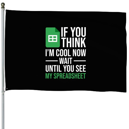 Im Cool Wait See My Spreadsheet Excel Accountant House Flags
