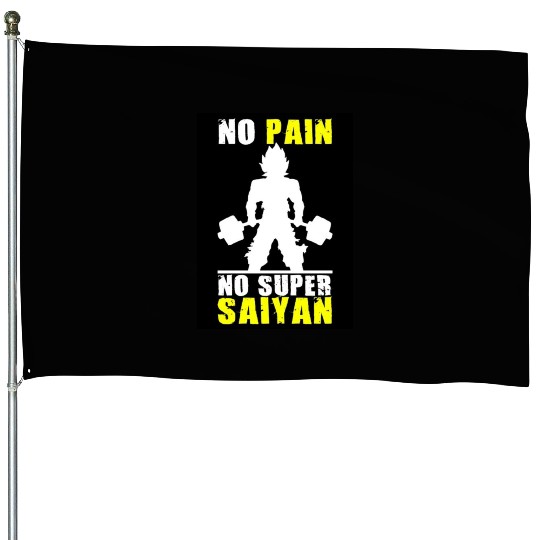 Anime Gym demon House Flags