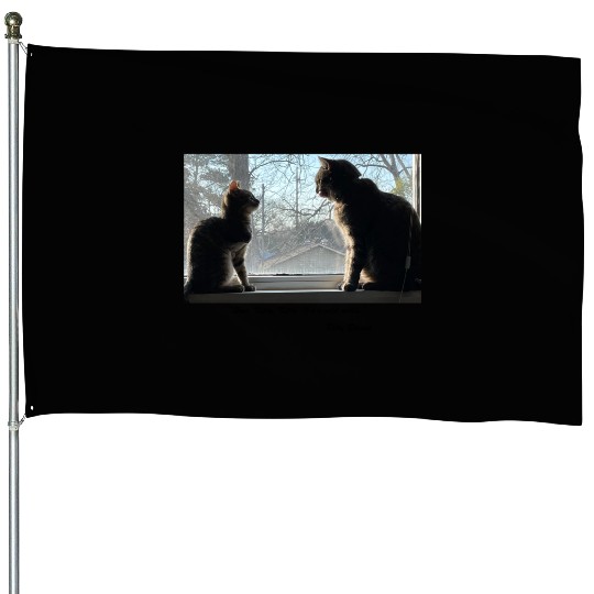Cute Cats Confer House Flags
