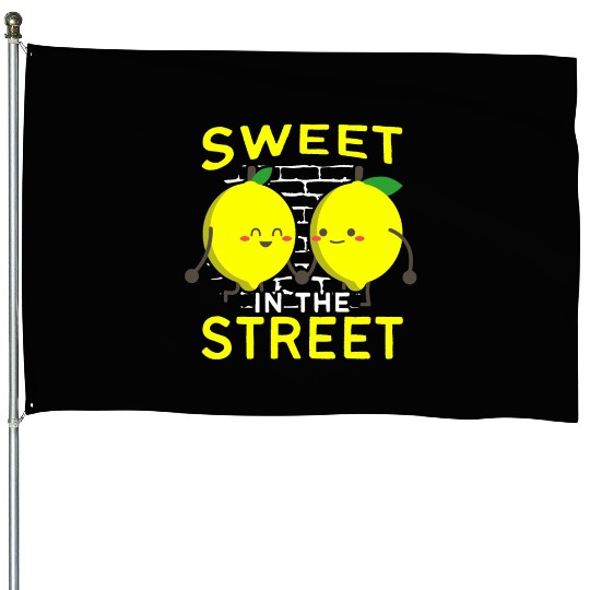 Sweet In The Street Sell Lemonade Funny Lemon House Flags