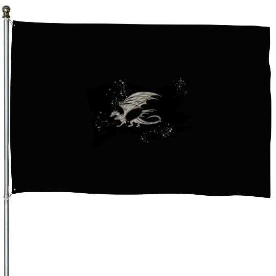 An Old Dragon Flag_It was brilliant in the past House Flags