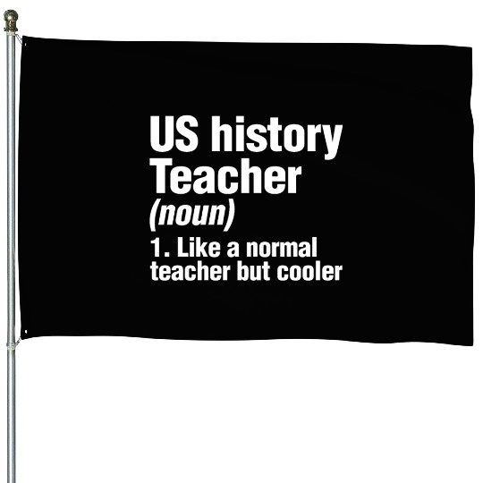 US History Teacher Like A Normal Teacher Only House Flags