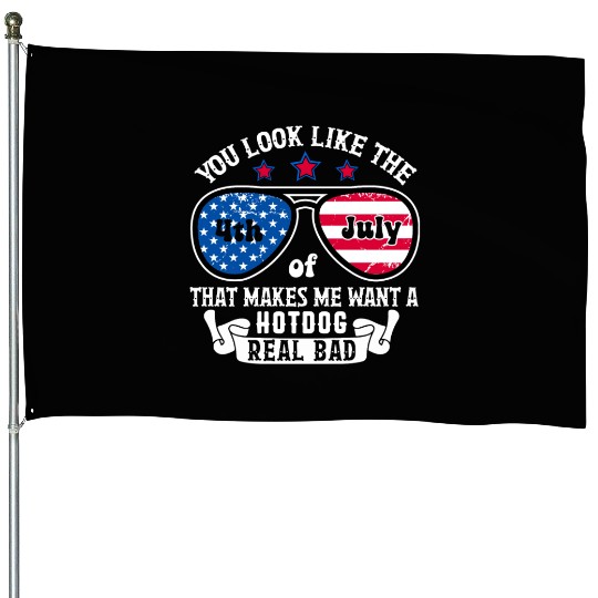 You Look Like The 4th of July House Flags