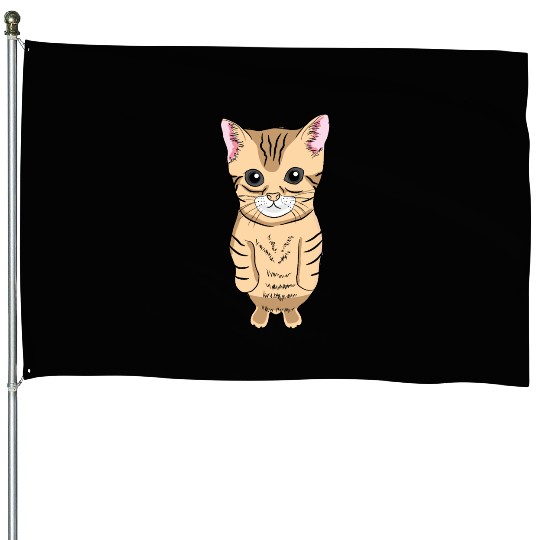 Cute Standing Cat Meme Cute Kitten Standing on Two House Flags
