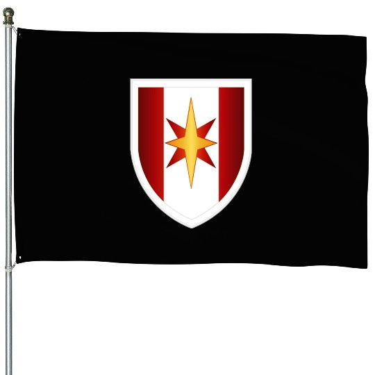 Army 44th Medical Bde wo Txt House Flags