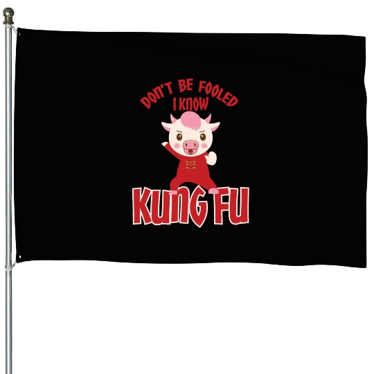 Dont Be Fooled I Know Kung Fu House Flags