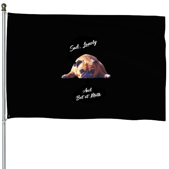 Sad Lonely And Bad At Math, Funny styles, House Flags