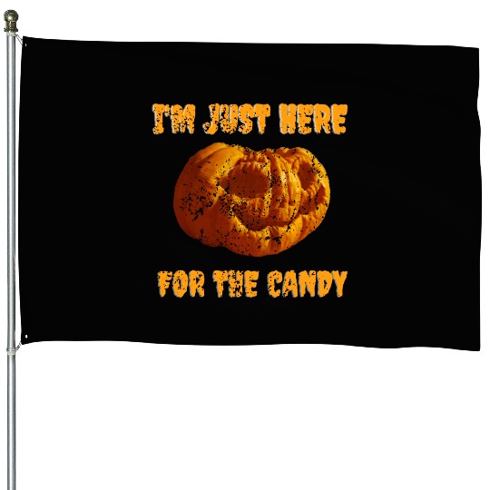 I'M JUST HERE FOR THE CANDY OLD PUMPKIN DRAWING House Flags
