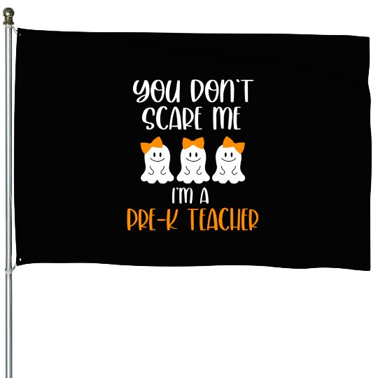 You Don't Scare Me I'm a Pre K Teacher House Flags