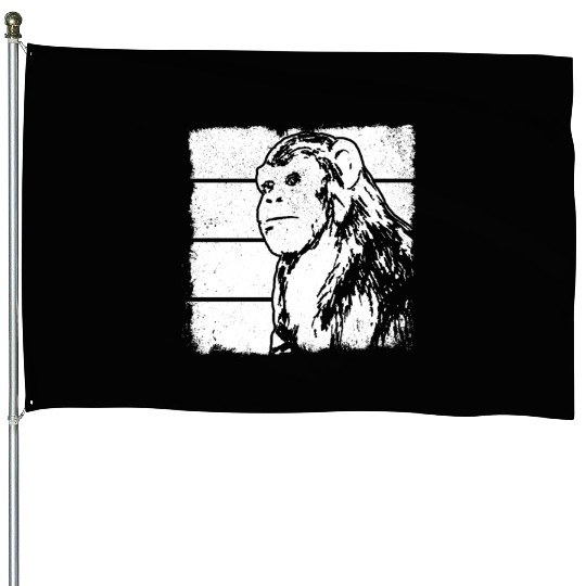 Monkey Chimpanzee Orangutan Monkey - Monkey House Flags