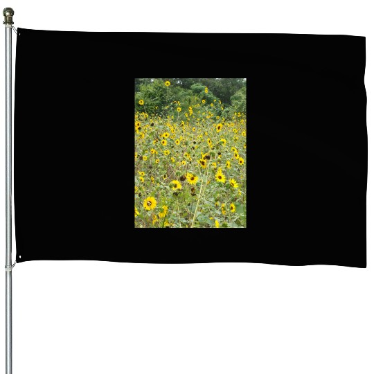 My Photography - Swamp Sunflowers in Texas House Flags