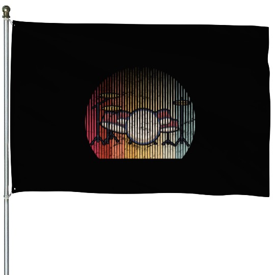 Drums Drummer Band Drumset Retro Percussion Drums House Flags
