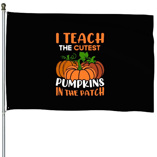 Teacher Halloween Pre-K Teacher Kindergarten Cutes House Flags