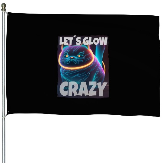 Lets Glow Crazy Cat Kitten Fluffy Cat House Flags