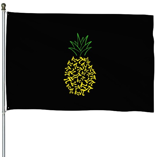 Pi Day Pineapple Math Lover Teacher 3.14 Symbol House Flags