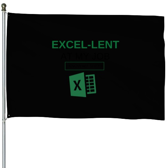 Excel-lent at My Job Funny Accountant Data Analyst House Flags