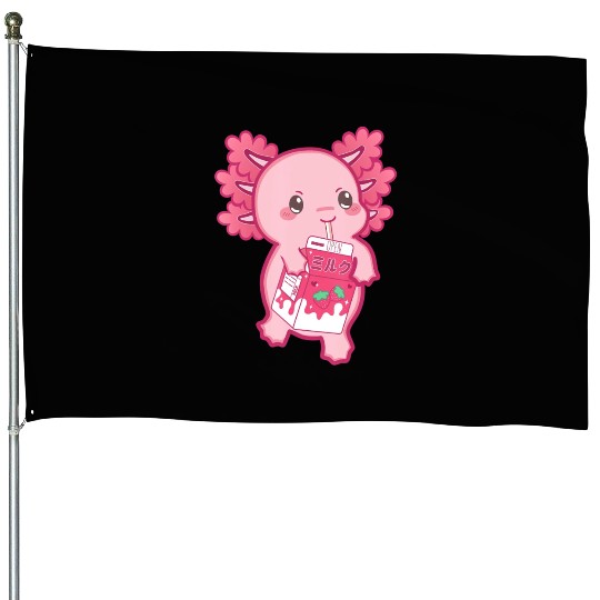 Kawaii Axolotl Strawberry Milk Teen Girl Kids Japa House Flags