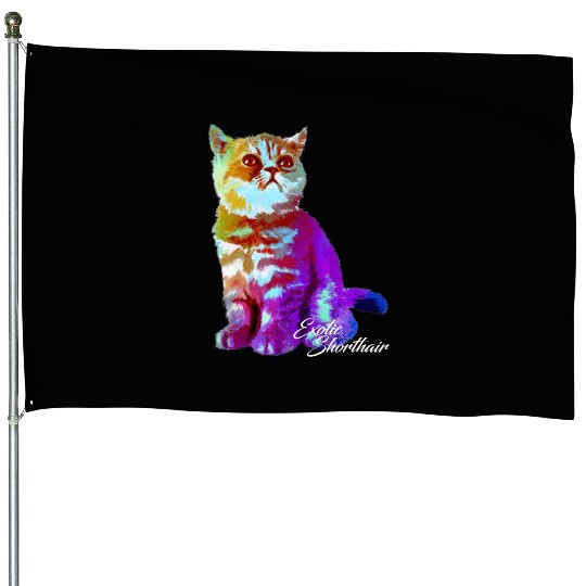Colorful Exotic Shorthair Cat Funny Kitties Lover House Flags