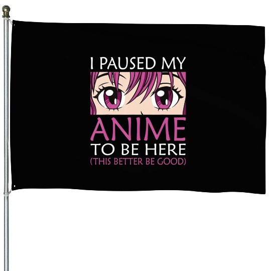 Sugar Skull Saint Patricks Day of Dead Dia de los House Flags