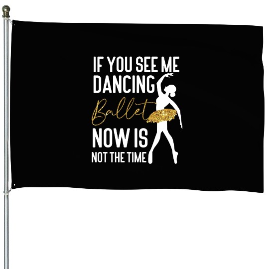 Ballet Dancer Dance Girl Ballerina House Flags