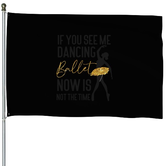 Ballet Dancer Dance Girl Ballerina House Flags