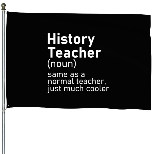 History Teacher Funny Definition House Flags
