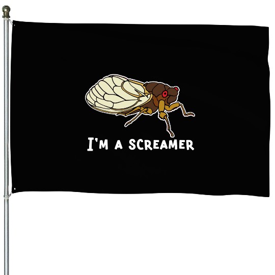 Cicada Song Funny Cicada Invasion I m A Screamer House Flags