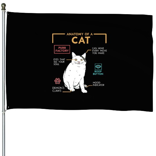 Funny Weird Cat Meme Smiling Anatomy of A Cat House Flags