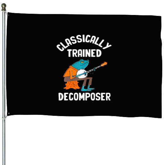 Classically Trained Decomposer Funny Frog Playing House Flags
