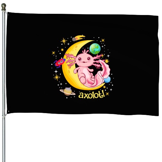 Space Axolotl Kawaii House Flags Pastel Goth Japanese An