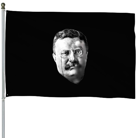 President Teddy Roosevelt House Flags