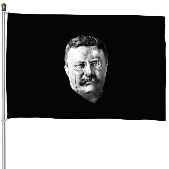 President Teddy Roosevelt House Flags