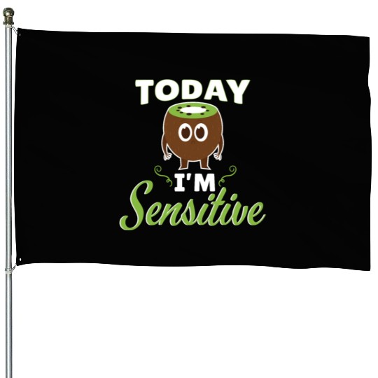 Today Im Sensitive Kiwi House Flags